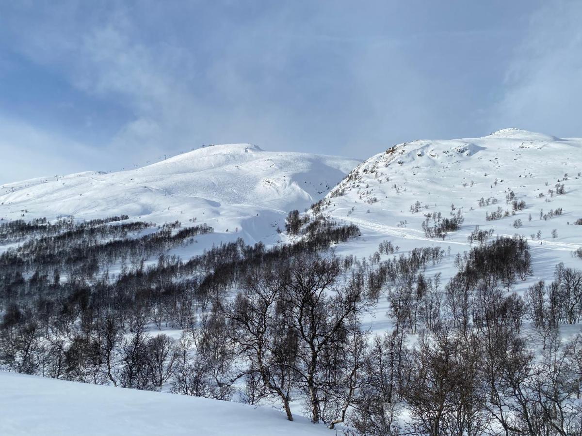 Vangslia, Oppdal. Lekker Leilighet Med Ski Inn/Ski Ut Exterior foto